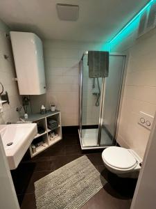 タウルにあるLiebevolle Wohnungのバスルーム(シャワー、トイレ、シンク付)