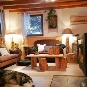 a living room with a dog laying on the floor at Lodge bien être et nature in Soultzeren