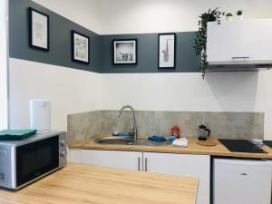 uma cozinha com um lavatório e um micro-ondas em Atelier Arthaud em Brest