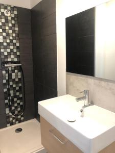 een badkamer met een wastafel, een spiegel en een douche bij Atelier Arthaud in Brest