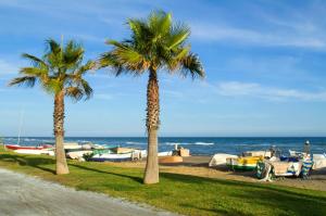 dos palmeras y barcos en la playa en Floridos Playa Piso reformado de 2 habitaciones a 50m de la playa en Cala del Moral