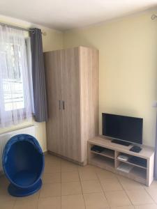 a living room with a television and a blue chair at Apartment Lucy Lipno in Lipno nad Vltavou