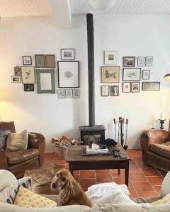 a dog sitting on a couch in a living room with a fireplace at La Maison de Mama C: Charming french village home in Sainte-Colombe-sur-lʼHers