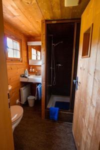 a bathroom with a shower and a toilet and a sink at Ferienhaus Fromsenrüti in Walzenhausen
