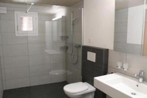 a bathroom with a shower and a toilet and a sink at Leinacherhof - Ferienwohnung für 2 Erwachsene und 3 Kinder 