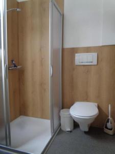 ein Bad mit einem WC und einer Glasdusche in der Unterkunft Manser, Ferien beim Bauer 1 Stock in Oberhegi