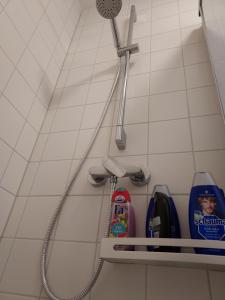 a bathroom with a shower head and a shelf with cleaning products at Cosy Place for one/two in Berlin +37 photos