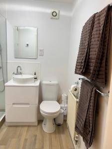 een badkamer met een toilet, een wastafel en een spiegel bij Glastonbury Town Centre, Lovely 2 Bedroom Apartment in Glastonbury