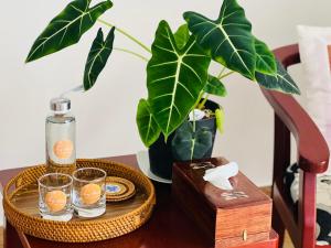 einen Tisch mit einer Flasche Parfüm und Brille sowie eine Pflanze in der Unterkunft Thuy House Hoi An in Hoi An