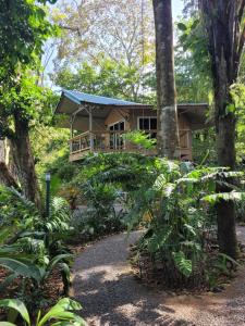 a house in the woods with a path leading to it at Treehouse La Hierba, Pavones in Pavones