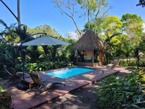 a swimming pool in a garden with a gazebo at Treehouse La Hierba, Pavones in Pavones