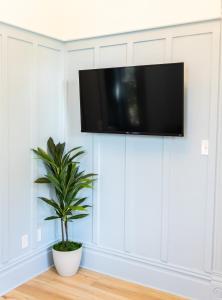 una TV a parete in un soggiorno con una pianta di Suite 3 Historic Art City Inn a Springville