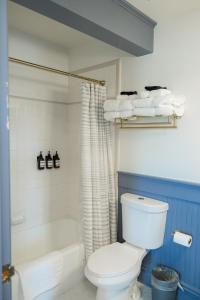 a bathroom with a white toilet and a bath tub at Suite 11 Historic Art City Inn in Springville
