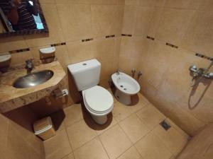 a bathroom with a toilet and a sink at Departamento Haití in San Miguel de Tucumán