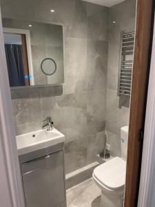 W łazience znajduje się toaleta, umywalka i lustro. w obiekcie Terrace House w mieście Leamington Spa