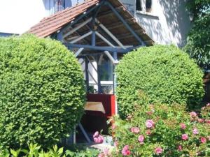 duas sebes em frente a uma casa com uma janela em Ferienhaus Buschle em Tettnang