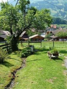 a tree sitting in the grass in a field at Chalet Flädermuus in Frutigen