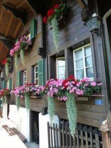 a building with flower boxes on the side of it at Chalet Flädermuus in Frutigen