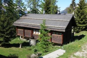 a small log cabin with a black roof at Haus Pfahl in Bellwald