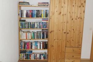 a book shelf filled with books next to a closet at Ers Curtins in Zernez