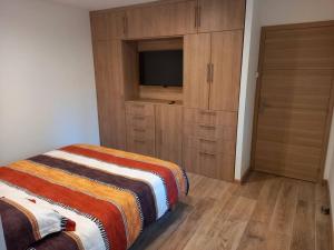 1 dormitorio con 1 cama y armario con TV en Villa La Treille, en Saint-Maximin-la-Sainte-Baume 11 fotos más