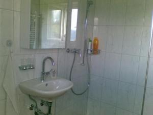 ein Bad mit einem Waschbecken und einer Dusche mit einem Spiegel in der Unterkunft Sunneggli in Aeschi bei Spiez