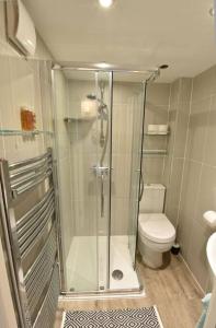 ein Bad mit einer Dusche und einem WC in der Unterkunft The Annexe in Shaldon