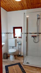 La salle de bains est pourvue d'une douche, de toilettes et d'une fenêtre. dans l'établissement Ferienhaus auf dem Werteshof, à Peißenberg