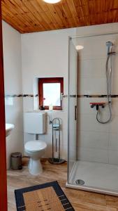 a bathroom with a shower and a toilet and a window at Ferienhaus auf dem Werteshof in Peißenberg