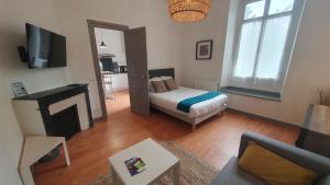 salon z łóżkiem i telewizorem w obiekcie Bel appartement en centre-ville avec terrasse w mieście Pau