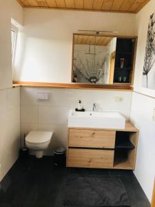 a bathroom with a sink and a toilet at Ruhige Ferienwohnung direkt am Rennsteig in Igelshieb