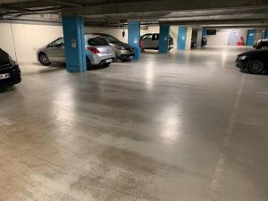 un garaje con coches aparcados en él en 80m2-Maison des quais - parking - jardinet en Ruan