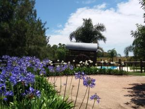 a garden with purple flowers and a tractor in the background at Estancia Renacimiento in Atlántida