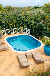 Bassein majutusasutuses Blue Roatan Resort või selle lähedal