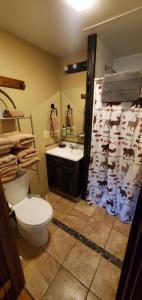 La salle de bains est pourvue de toilettes et d'un lavabo. dans l'établissement EML 2 Muddy Creek, à Paonia