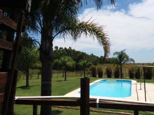 a swimming pool in a field with a palm tree at Estancia Renacimiento in Atlántida