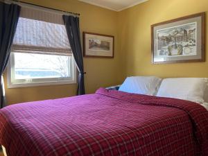 1 dormitorio con 1 cama con manta a cuadros y ventana en Derinda House en Elizabeth
