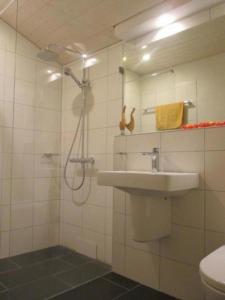 a bathroom with a sink and a shower at Ferienhaus Staudenhof Naturnah und idylisch in Präz