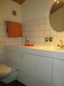 een badkamer met een toilet, een wastafel en een spiegel bij Ferienhaus Staudenhof Naturnah und idylisch in Präz