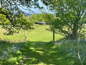 a path through a field with trees and blue flowers at Deer lodge at Chapel Lodges in Wimborne Minster