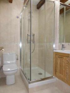 a bathroom with a shower and a toilet and a sink at Apartamento Casa Male in Pimiango