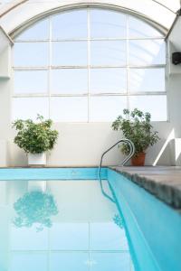 una piscina con macetas y una ventana en Hotel Ghala Salta en Salta