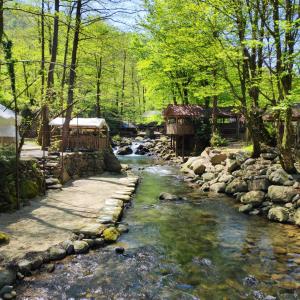 un ruisseau avec des rochers dans l'établissement Happiness Villas Charnali, à Charnali