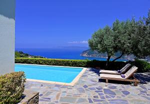 Swimmingpoolen hos eller tæt på Erato villa