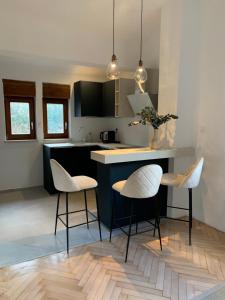 Kuchyň nebo kuchyňský kout v ubytování Opatija Apartment - Ocean Suite & Sea Breeze