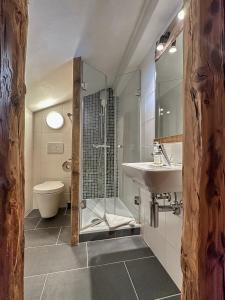 La salle de bains est pourvue d'une douche, d'un lavabo et de toilettes. dans l'établissement Mon Raccard Cosy - 4 vallées, à Bruson