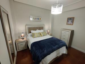 1 dormitorio con 1 cama con manta azul y 2 mesitas de noche en Piso Bilbao San Mamés, en Bilbao