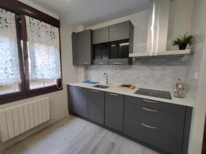 a kitchen with gray cabinets and a sink and a window at Piso Bilbao San Mamés in Bilbao