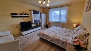 1 dormitorio con 1 cama y TV de pantalla plana en Apartmány Sebastián, en Pribylina