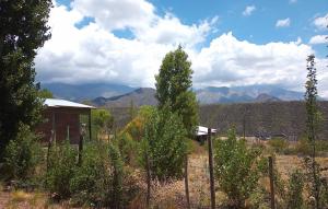 una cerca con un árbol en un campo con montañas en Cabaña Lo Palma Potrerillos en Potrerillos